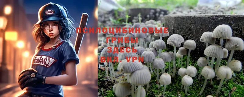 как найти закладки  Красноуральск  Галлюциногенные грибы MAGIC MUSHROOMS 